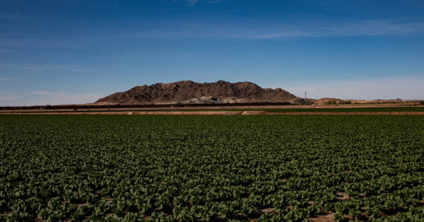 Yuma County, Arizona, Becomes Fertile Ground for Covid-19