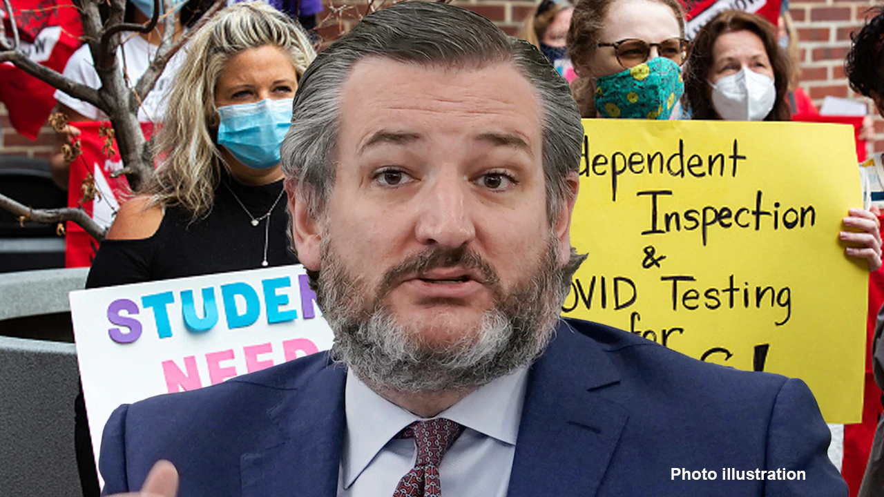 Sen. Ted Cruz: COVID, teachers union school madness is hurting our kids — that’s why choice is vital