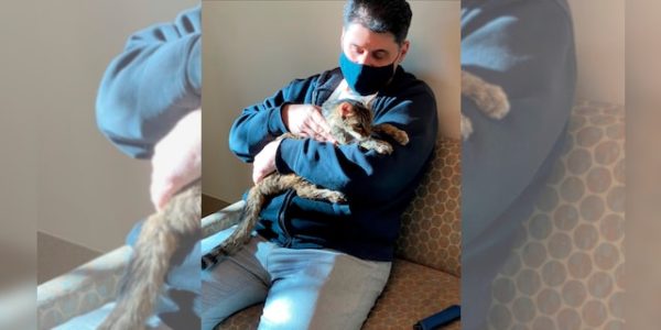 Man united with cat after it vanished 15 years ago: ‘It was very emotional’
