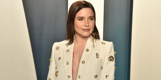 Sophia Bush called for Republicans to be labeled as 'terrorists.'