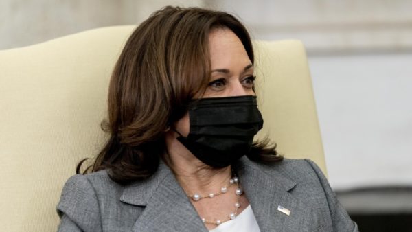 Ex-Trump DHS officials say Harris needs to visit border, accuse her of dodging ‘political hot potato’