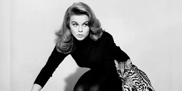 Swedish-American actress Ann-Margret poses with an ocelot in a promotional still for 'Kitten With A Whip', directed by Douglas Heyes, 1964. 
