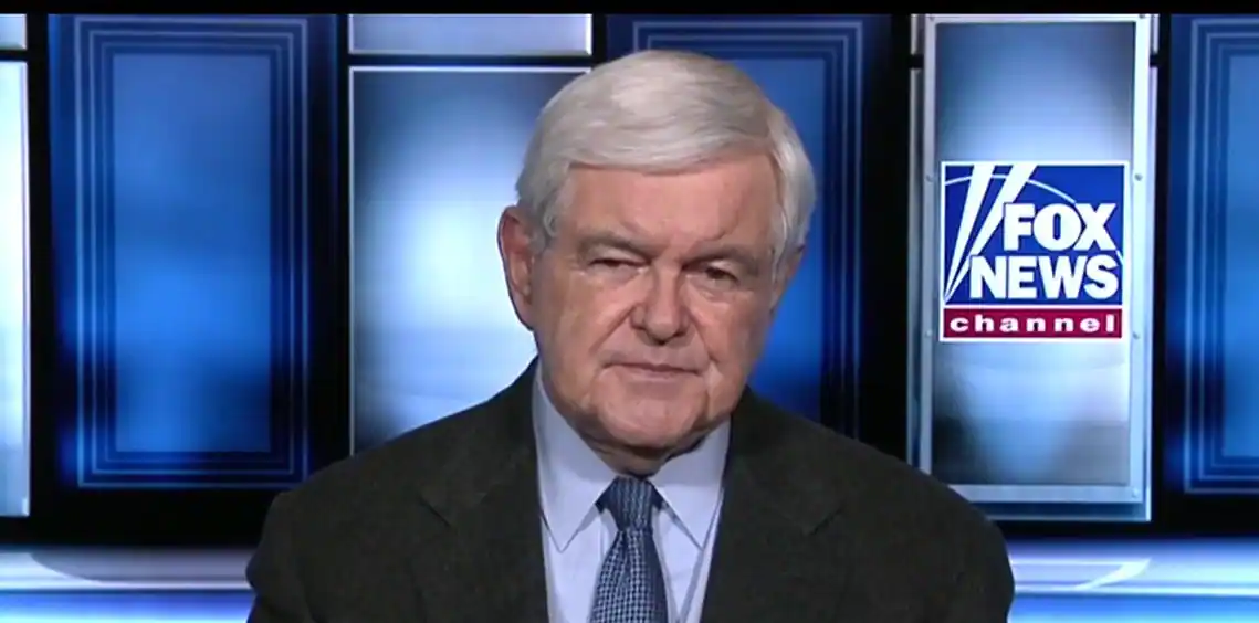 Gingrich: ‘Very dangerous time’ with police being vilified, especially for minorities