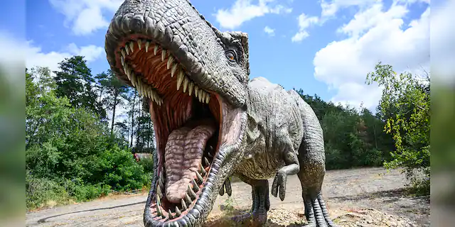 A model of a Tyrannosaurus-rex predatory dinosaur - file photo.