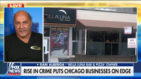 Tammy Bruce rips media for downplaying crime surge in major cities: ‘This isn’t an accident’