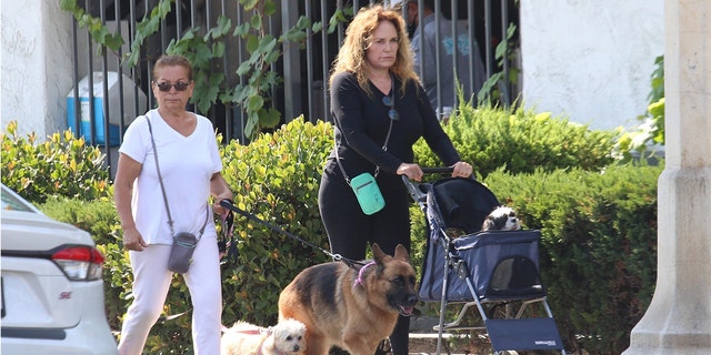 Catherine Bach was pictured walking her dogs in Los Angeles with the help of a companion.