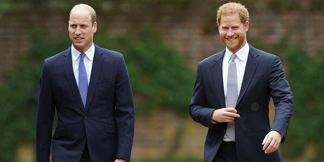 Prince William and Prince Harry at Princess Diana's statue unveiling in July.
