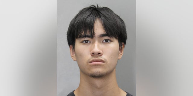 Philip Nguyen, 19, is charged with the fatal stabbing of his father, who was found burnt and buried in his backyard, police said. 
