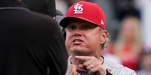 St. Louis Cardinals manager Mike Shildt, right, argues with umpire Doug Eddings during the ninth inning of a baseball game against the Chicago Cubs in Chicago, Sunday, Sept. 26, 2021. Shildt was ejected by umpire Bill Miller. (AP Photo/Nam Y. Huh)