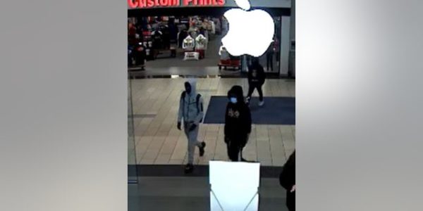California Apple store hit in latest smash-and-grab in broad daylight