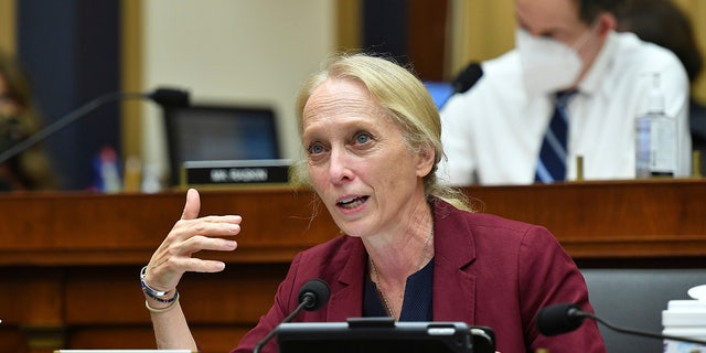 FILE - Rep. Mary Gay Scanlon, D-Pa., speaks during a House Judiciary subcommittee on antitrust on Capitol Hill on Wednesday, July 29, 2020, in Washington. U.S. Rep. Scanlon was carjacked at gunpoint by two men in a south Philadelphia park but wasn’t injured, police and her office said. Police said Scanlon, was walking to her parked vehicle after a meeting in FDR park shortly before 3 p.m. Wednesday, Dec. 22, 2021, when two armed men demanded her keys. (Mandel Ngan/Pool via AP, File)