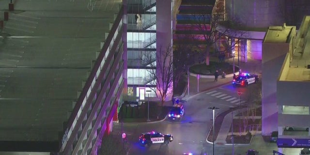 One person was in police custody after shots rang out at a Chicago-area shopping mall. 