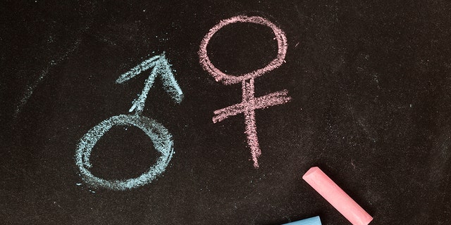 Male and female symbols drawn using chalk on a chalkboard.