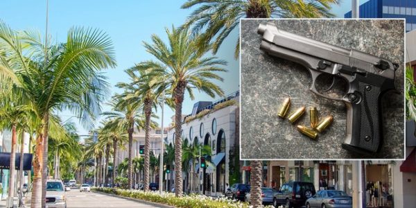 Black LA residents lack access to guns as wealthy rush to buy firearms amid crime wave: Activists