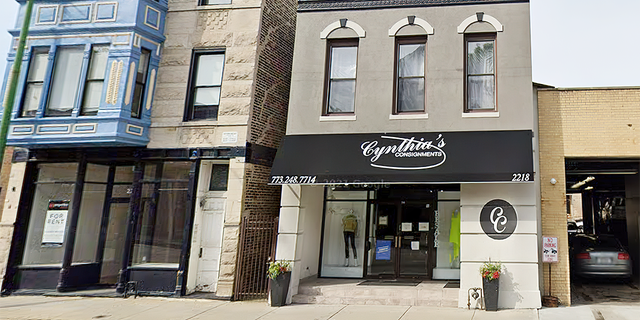 Shoplifters made off with about $50,000 in designer handbags from Cynthia's Consignments in Lincoln Park on Monday after the shop was featured in a profile on the local news, according to reports.