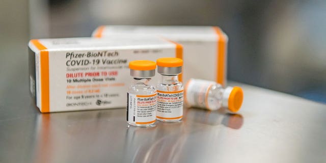 FILE PHOTO: Pfizer/BioNTech's new pediatric COVID-19 vaccine vials are seen in this undated handout photo. 