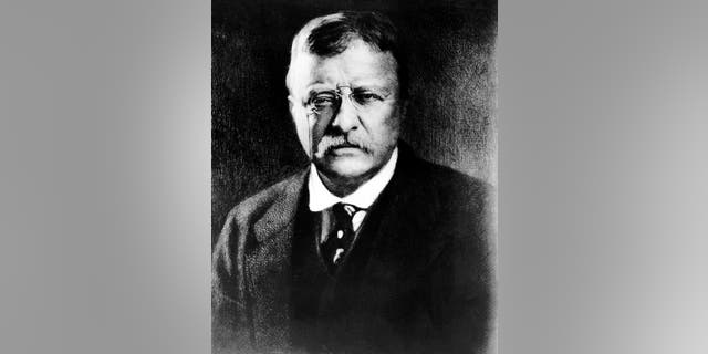 File - Theodore Roosevelt, the 26th president of the United States, is seen in this undated file photo.
