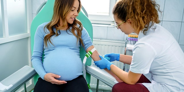 Nurse drawing blood from a pregnant woman