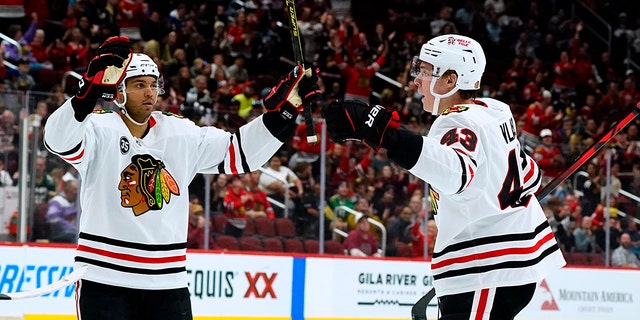 Chicago Blackhawks defenseman Alex Vlasic (43) celebrates his goal against the Arizona Coyotes with Blackhawks defenseman Seth Jones, left, during the second period of an NHL hockey game Wednesday, April 20, 2022, in Glendale, Ariz. 