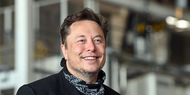 Tesla CEO Elon Musk purchased Twitter this week.