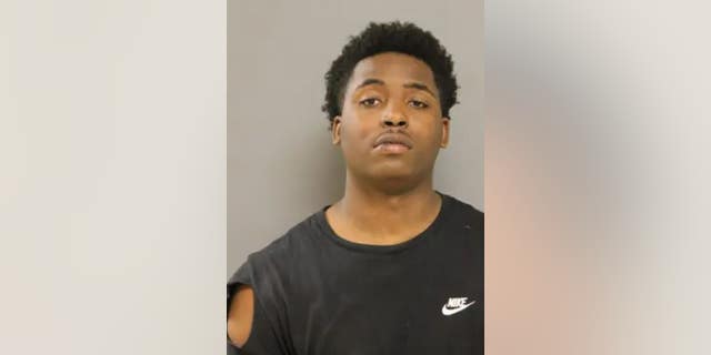 Mario Sanders, 20, allegedly attacked two Chicago police officers responding to a mass shooting on Tuesday. 