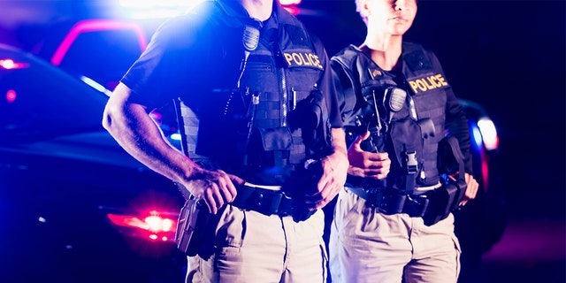 Cropped view of two police officers standing in front of patrol cars, wearing bulletproof vests and duty belts. 