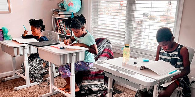 Children study during homeschooling, in Raleigh, N.C. (Courtesy of Dalaine Bradley via AP)