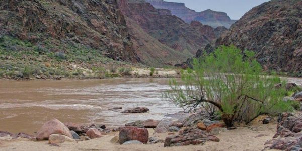 Woman drowns after falling into Colorado River