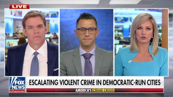 Fraternal Order of Police VP calls out ‘rouge prosecutors’ for not enforcing gun laws to the fullest