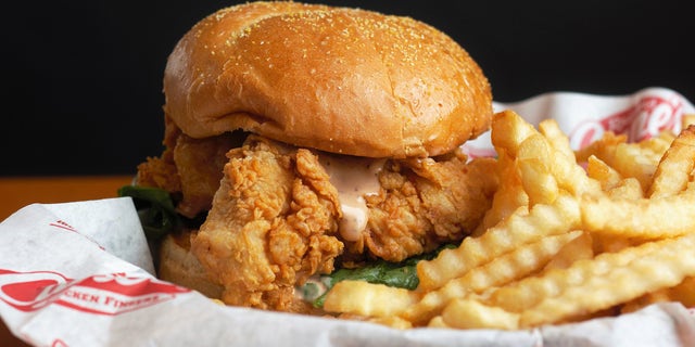 Raising Cane's serves chicken tenders and not a lot else; the chicken sandwich shown is a bun with a few tenders (plus dressing) between it. 