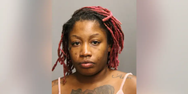 Illinois woman charged with murder after allegedly beating 56-year-old man in Chicago
