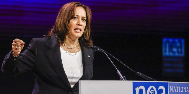 Vice President Kamala Harris speaks at the National Education Association annual meeting and representative assembly in Chicago on July 5, 2022.