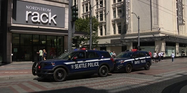 Seattle police cars by shopping district. 