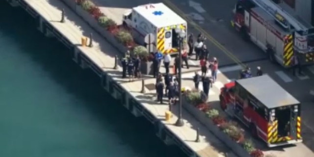 First responders stand on Navy Pier in Chicago after a 3 year old was allegedly pushed into Lake Michigan by his aunt.