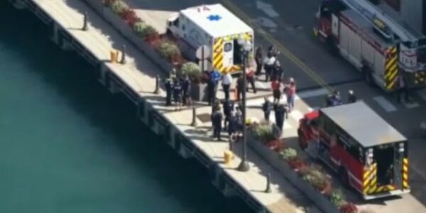 Surveillance footage shows relative push toddler off Chicago’s Navy Pier and into lake: report