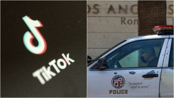 TikTok car theft challenge: LA police see 85% increase in Hyundai, Kia thefts since 2021