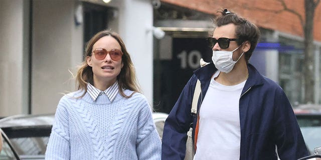 Olivia Wilde has since been romantically linked to musician Harry Styles.