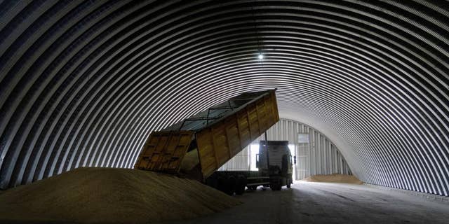 A dump track unloads grain in a granary in the village of Zghurivka, Ukraine, Aug. 9, 2022. 
