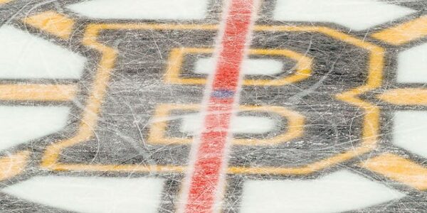 Bruins sign defenseman who assaulted, used racist slurs toward Black classmate with disabilities