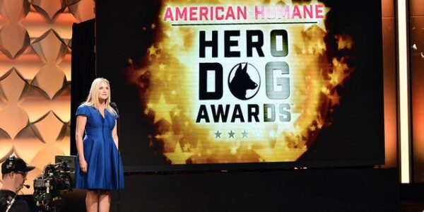 Top dog? Check out the finalists for the American Humane Hero Dog Awards 2022