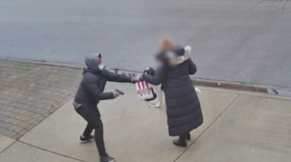Brazen daylight robbery of elderly Chicago woman at gunpoint caught on camera