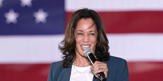 Vice President Kamala Harris, during a campaign stop back in 2020. (AP Photo/John Raoux)
