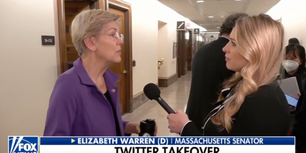 Sen. Warren roasted for saying Musk ‘should not decide’ how to run Twitter