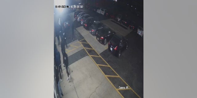 Surveillance cameras caught a group of suspected thieves steal several luxury vehicles from a Chicago-area dealership.
