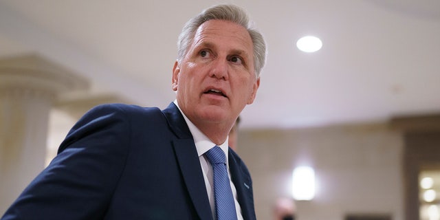 California House Republican Kevin McCarthy was unable to obtain a majority in the House Speaker race on Tuesday, facing opposition from some within his own party. 