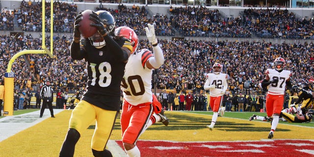 Diontae Johnson of the Steelers scores a two-point conversion against the Cleveland Browns at Acrisure Stadium on Jan. 8, 2023, in Pittsburgh.