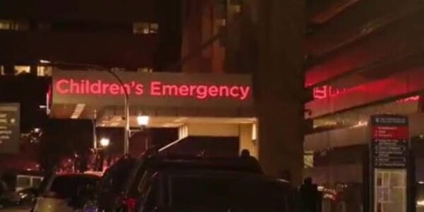Chicago shooting on I-57 leaves adult, 2 children dead