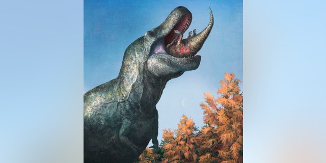 This illustration provided by Mark P. Witton in March 2023 depicts a juvenile Edmontosaurus being eaten by a Tyrannosaurus rex with a lipped mouth. The teeth on T. rex and other big theropods were likely covered by scaly lips, concludes a study published Thursday, March 30, 2023, in the journal Science. The dinosaur's teeth did not stick out when its mouth was closed, and even in a wide open bite, you might just see the tips, the scientists found.