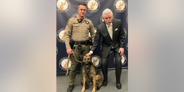 Henry punched a German Shepherd K-9 (pictured here) before eventually being taken in custody