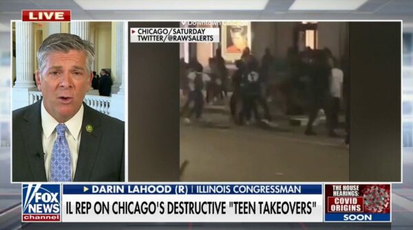 Illinois lawmaker rips Chicago Democrats after ‘Teen Takeover’ terrorizes city: ‘An embarrassment’